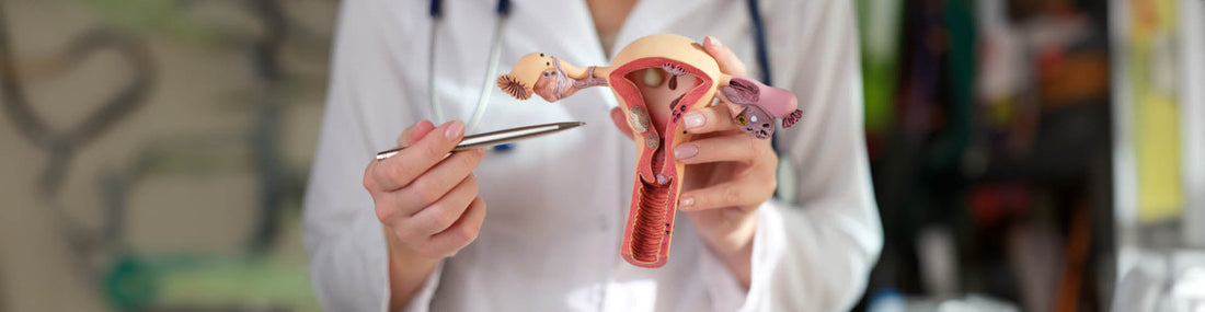 Se préparer à un rendez-vous gynécologique : conseils pour une visite sans stress